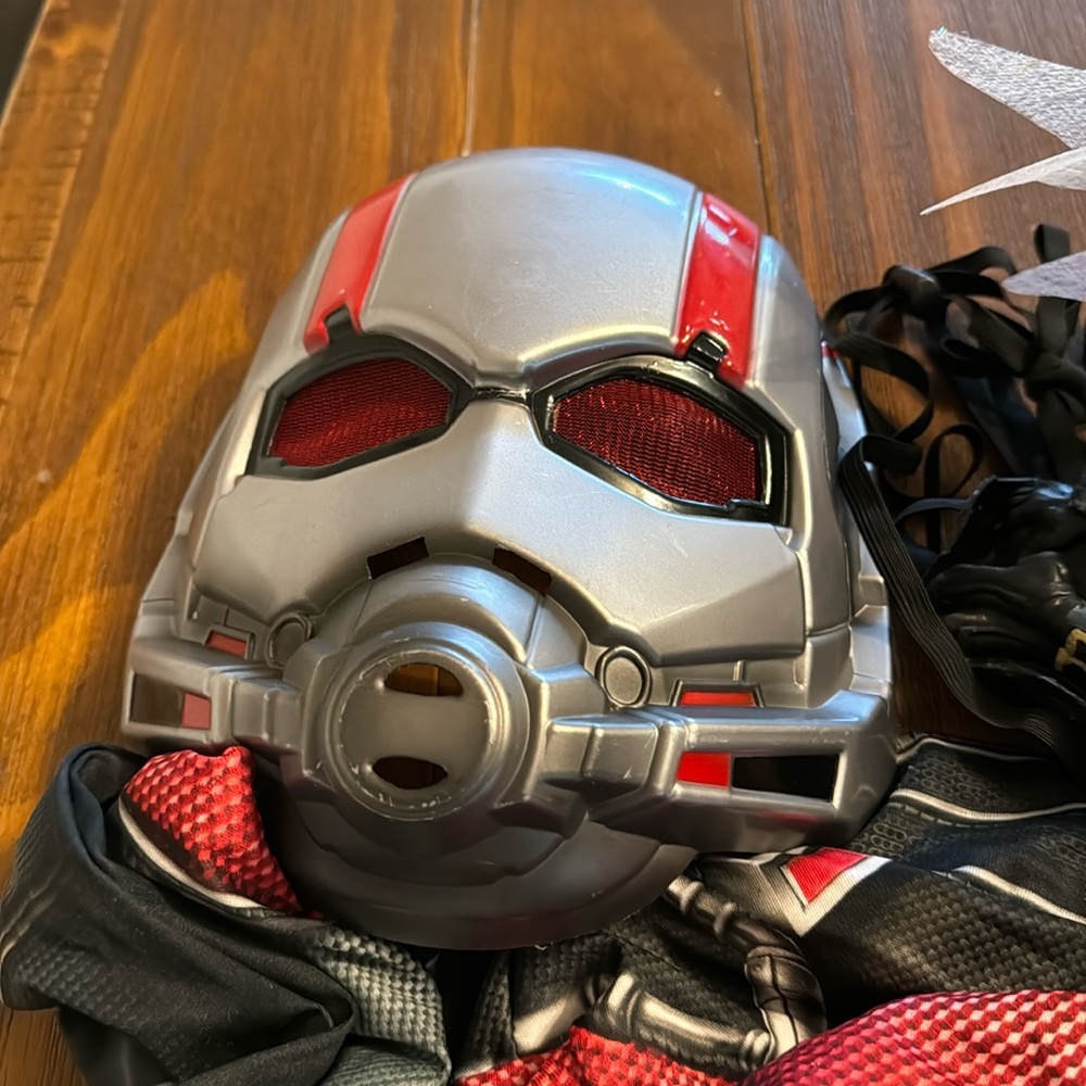 Costume Marvel Ant Man